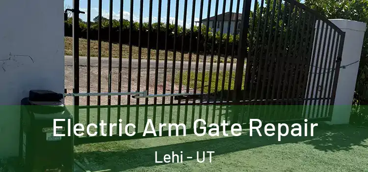  Electric Arm Gate Repair Lehi - UT