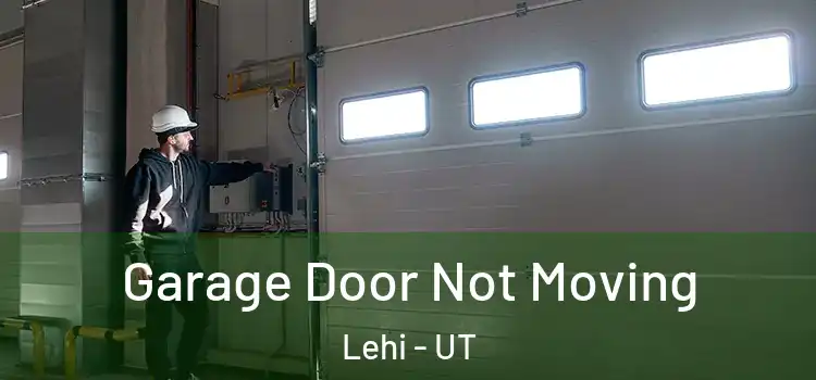  Garage Door Not Moving Lehi - UT